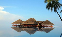 馬爾代(dai)夫安(an)娜塔拉4晚6日(ri)自助遊