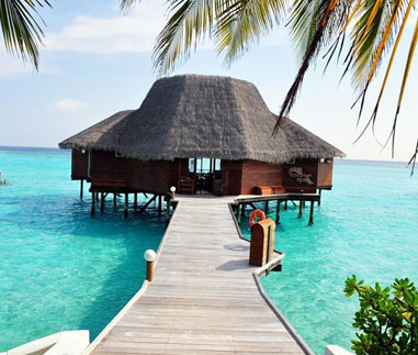 藍色美人(ren)蕉島