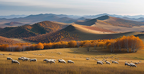 木(mù)蘭圍場(chang)-界河-烏蘭布統大(da)草(cǎo)原3日(ri)遊