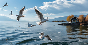 【五鑽小(xiǎo)團(tuán)團(tuán)】昆大(da)麗雙飛一(yi)動(dòng)5晚6天